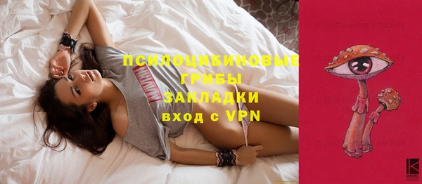 мяу мяу мука Баксан