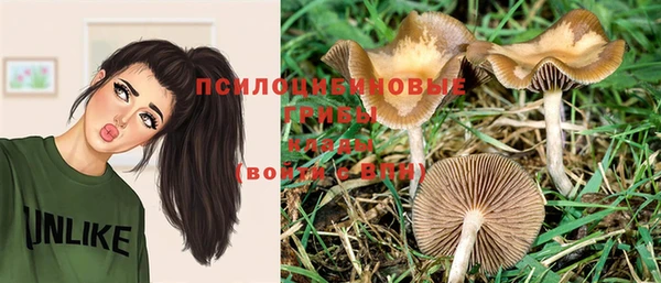 ПСИЛОЦИБИНОВЫЕ ГРИБЫ Балабаново